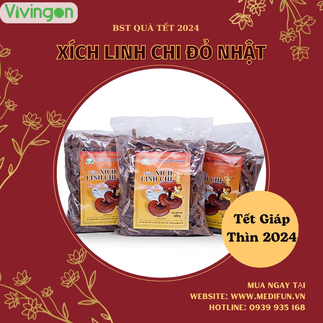 Nấm linh chi đỏ Nhật (Xích linh chi) loại nhỏ - Bịch 500g, cắt lát - Dược chất cao - Vivingon