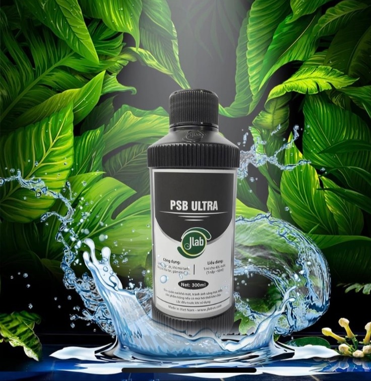 [HCM]Vi Khuẩn Quang Hợp JLAB 300ML Cao Cấp - PSB Ultra Men Vi Sinh Cho Bể Cá Thuỷ Sinh