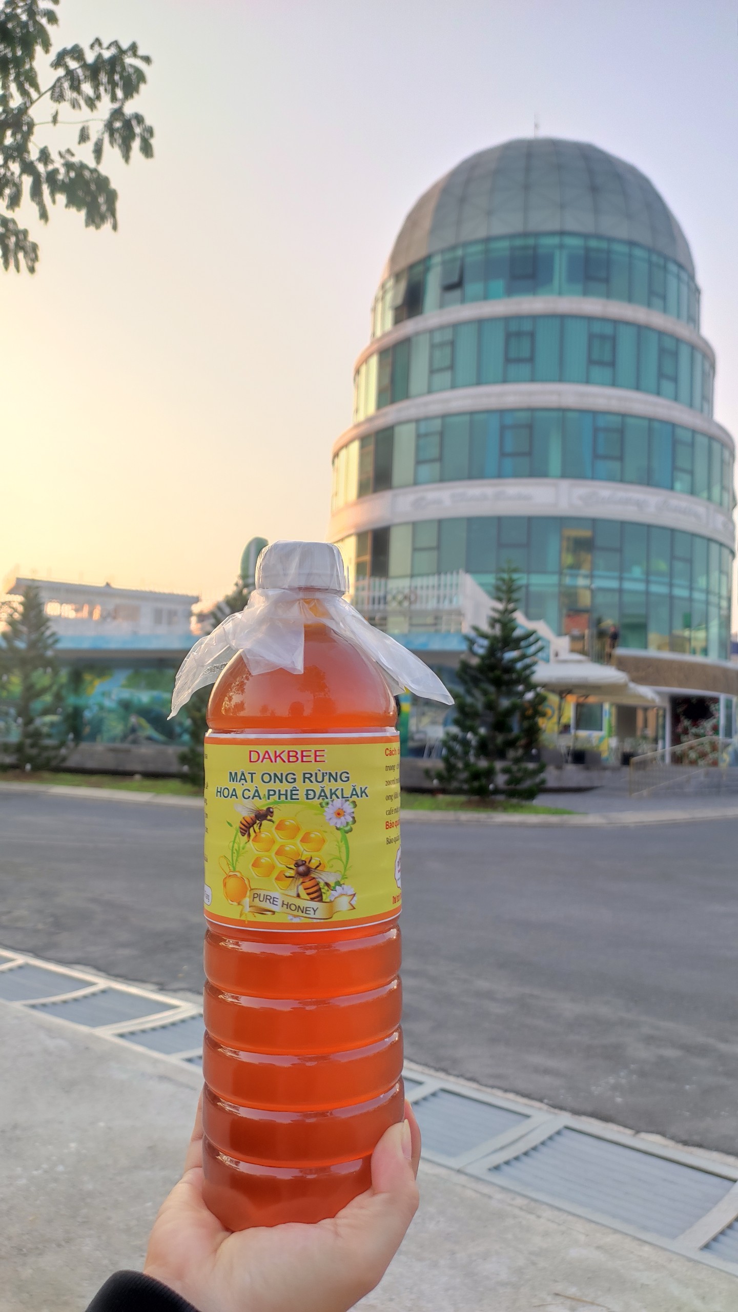1 LÍT Mật ong rừng hoa cà phê nguyên chất Daklak
