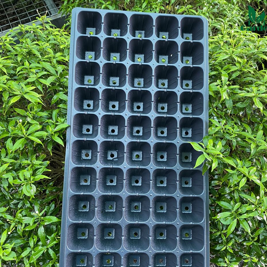 Combo 2 cái khay nhựa ươm hạt giống ,ươm cây con