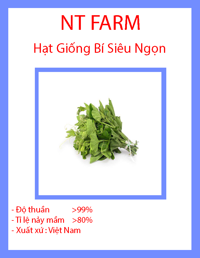 Hạt giống rau bí siêu ngọn