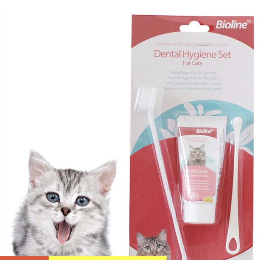 Kem Đánh Răng chó mèo Bàn Chải Đánh Răng Cho thú cưng Dental Care Set Bioline 100g