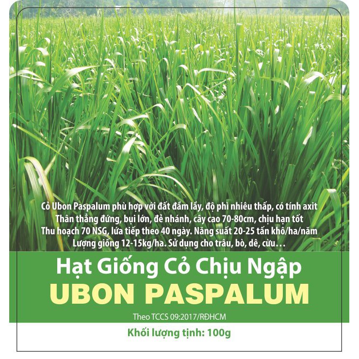 Hạt giống cỏ chịu ngập Ubon Paspalum gói 100g giá rẻ