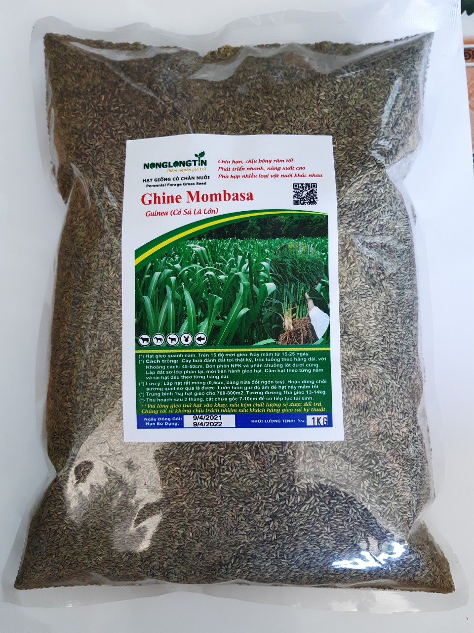 (1kg), Giống cỏ Ghine Mombasa, Giống cỏ chăn nuôi, Cỏ cho trâu, bò, dê, cừu, hươu ,nai, thỏ, cá trắm, heo, và gia cầm