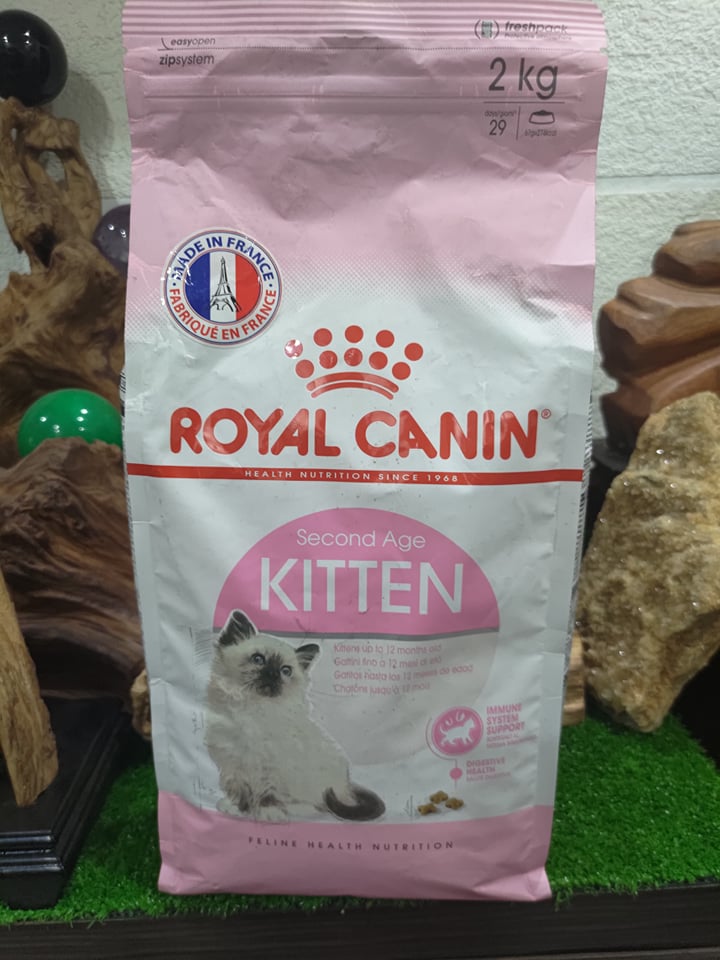 Thức ăn hạt cho mèo con royal canin kitten