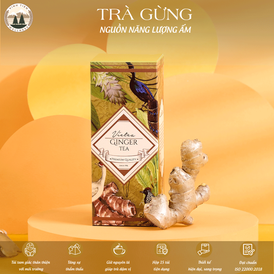 Trà Gừng Túi Tam Giác Vĩnh Tiến - Trà túi lọc, trà tam giác Vĩnh Tiến Wellness