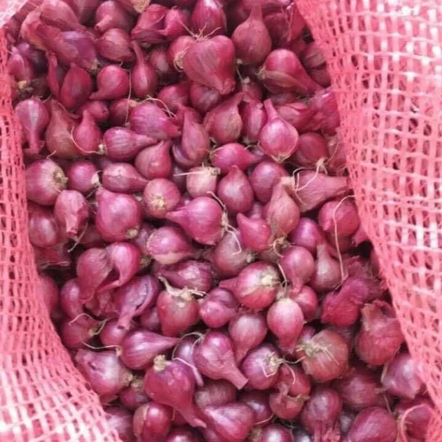 [FreeShip] Hành Tím Khô -Loại 1 Củ To Chắc Dễ Bóc Hàng Chất Lượng , thơm ngon , chắc nịch
