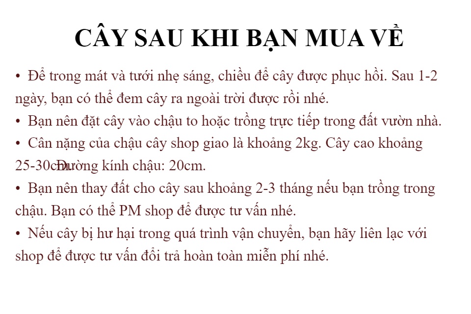 g3iuMi8EylwDdRDcTrUy.jpg