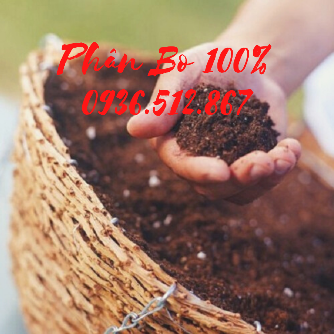 Phân bò - phân bón hữu cơ - đã qua xử lý-ủ oai-bổ sung men vi sinh