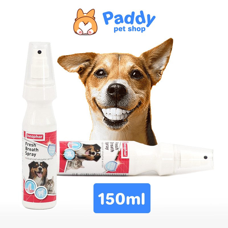 Xịt vệ sinh răng miệng chó mèo beaphar fresh breath 150ml