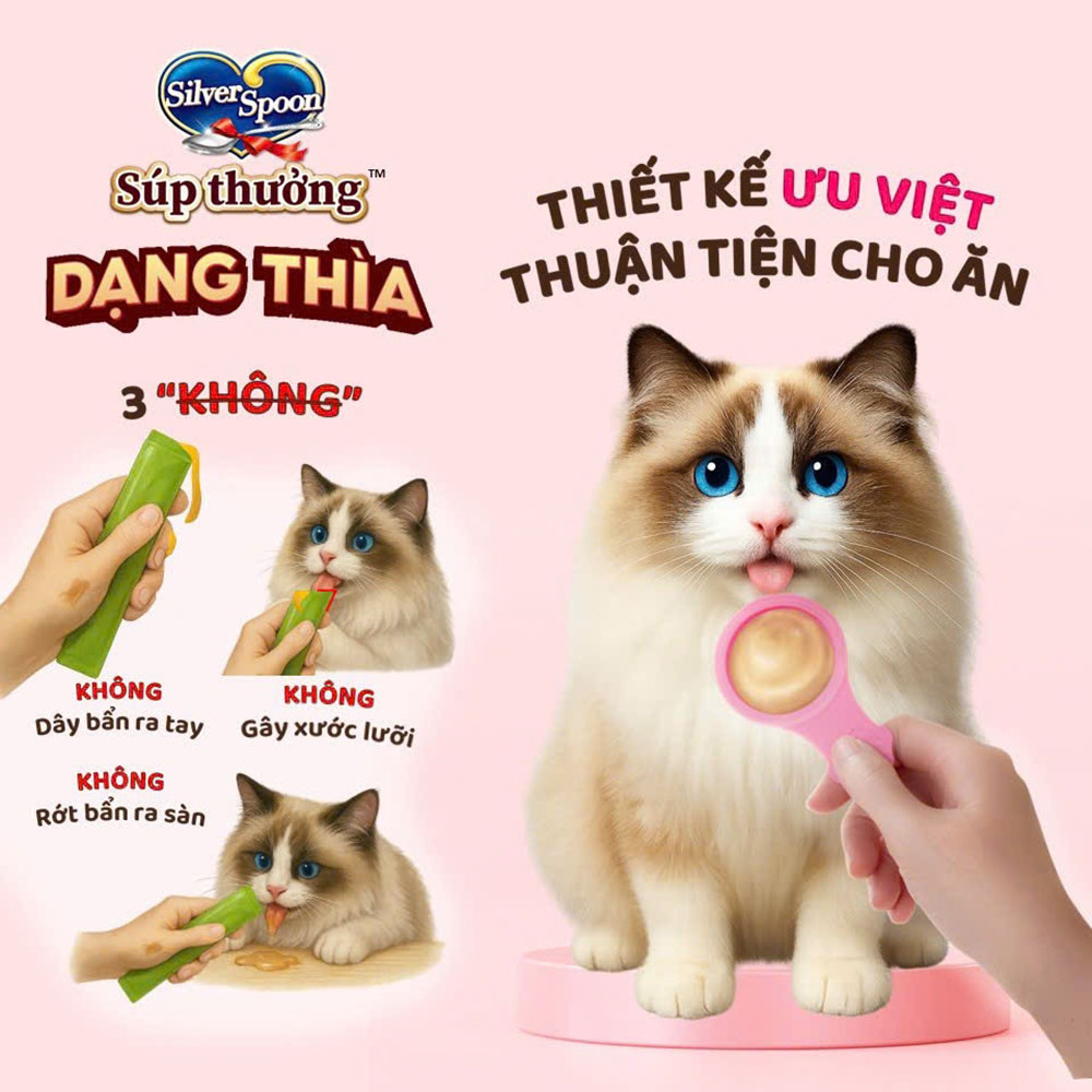 Súp thưởng cho mèo Silver Spoon dạng thìa 40g (gói 4 thìa)