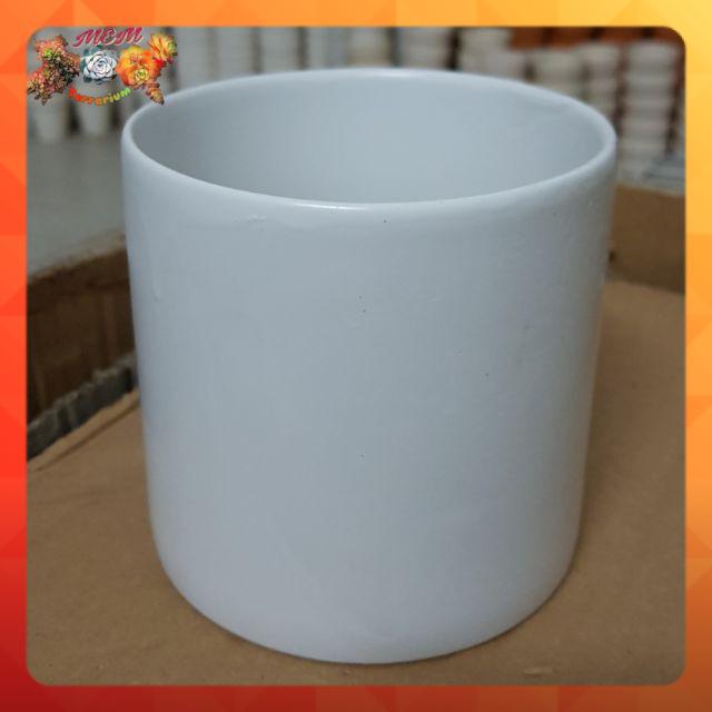 Chậu sứ trụ đại