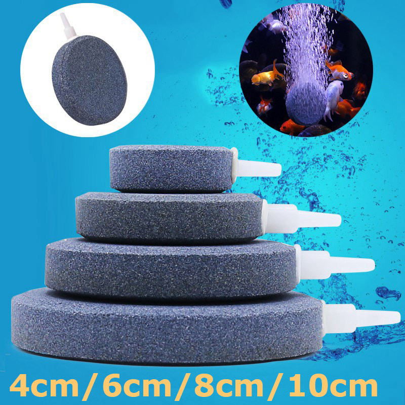 Sủi oxy dĩa hồ cá - đá sủi dĩa oxi mịn cho bể cá thuỷ sinh có size 4cm 6cm 8cm