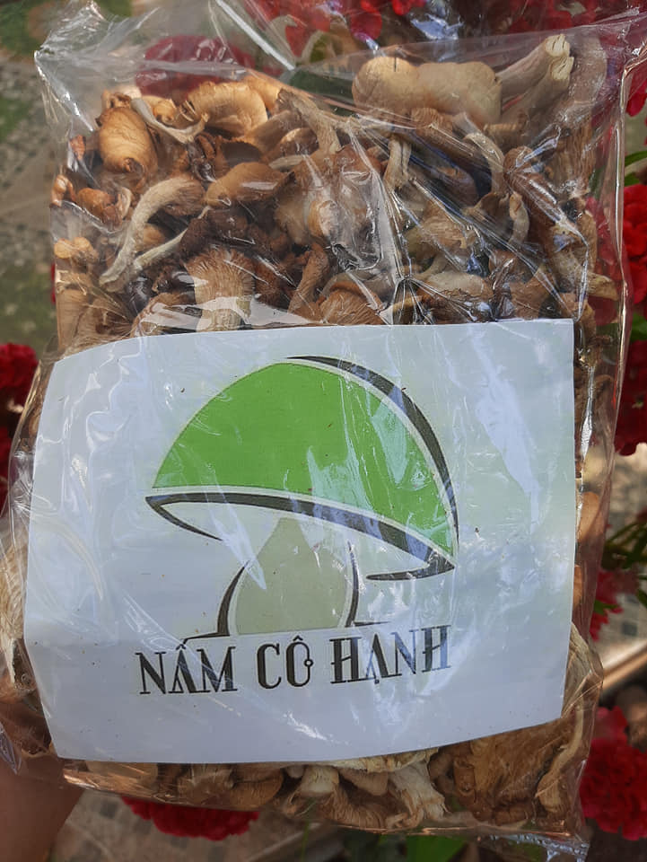 Nấm bào ngư xám sấy khô 100 gram.