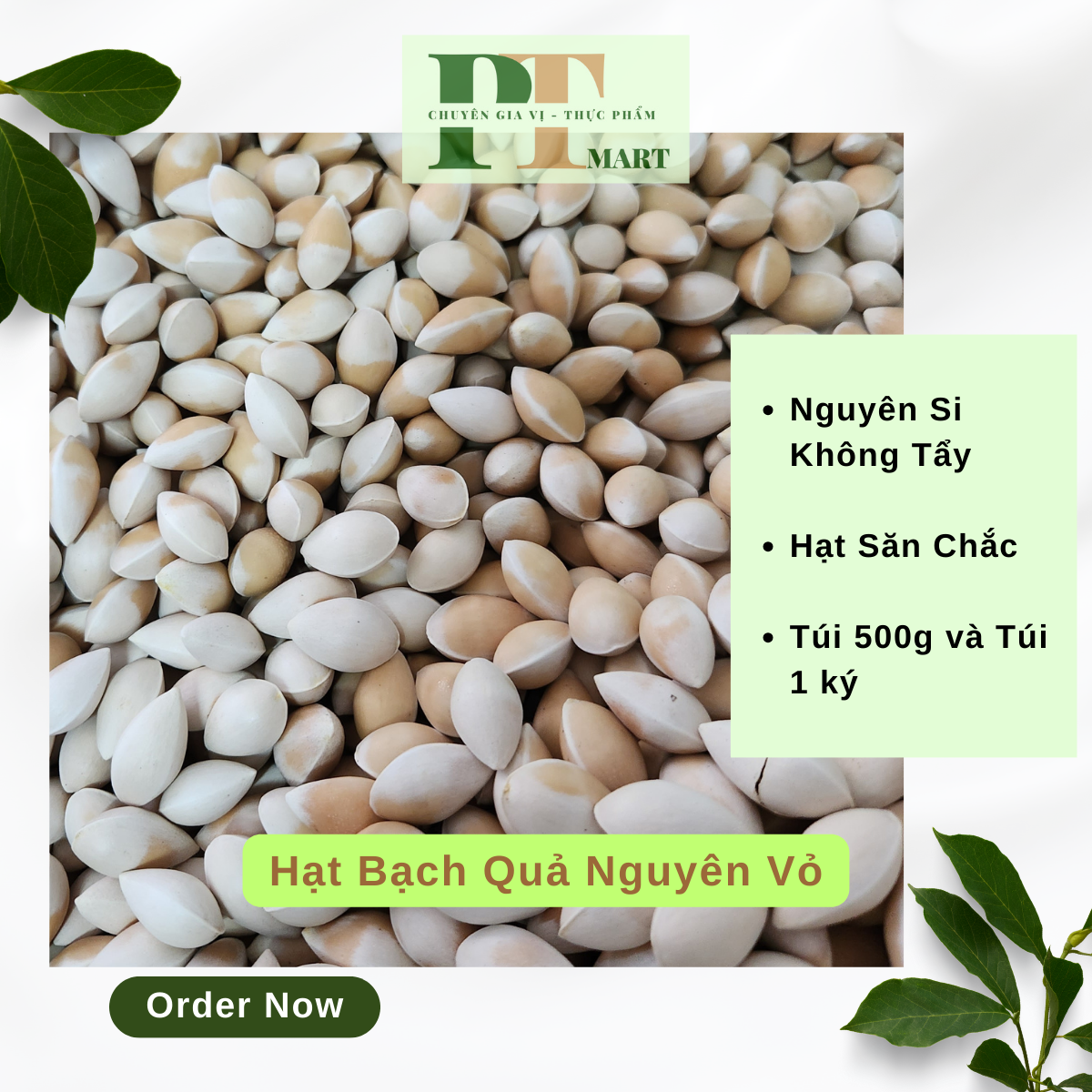Hạt Bạch Quả Tươi Loại Ngon nguyên vỏ, hạt nặng, đẹp . nấu chè, hầm canh, xào chay, trưng yến
