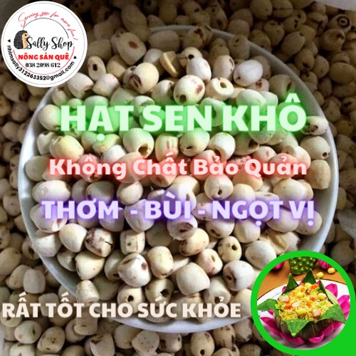 Hạt sen khô hữu cơ sallyfood hàng loại 1 sấy sạch hạt sen huế / đồng tháp - nông sản quê
