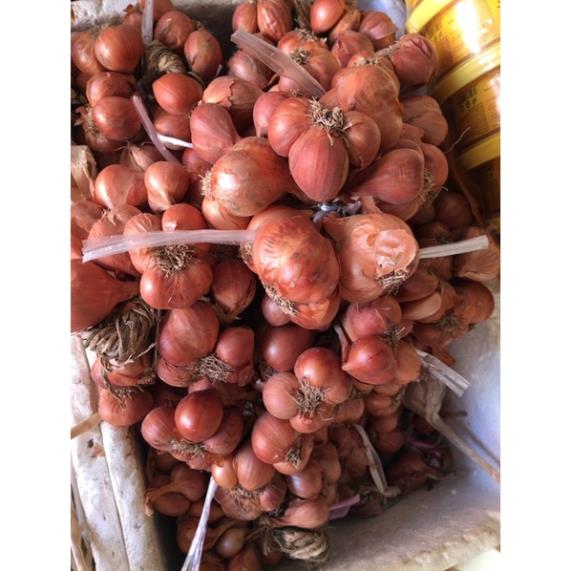 500g Hành khô ta sạch loại 1 củ to đều để được rất lâu