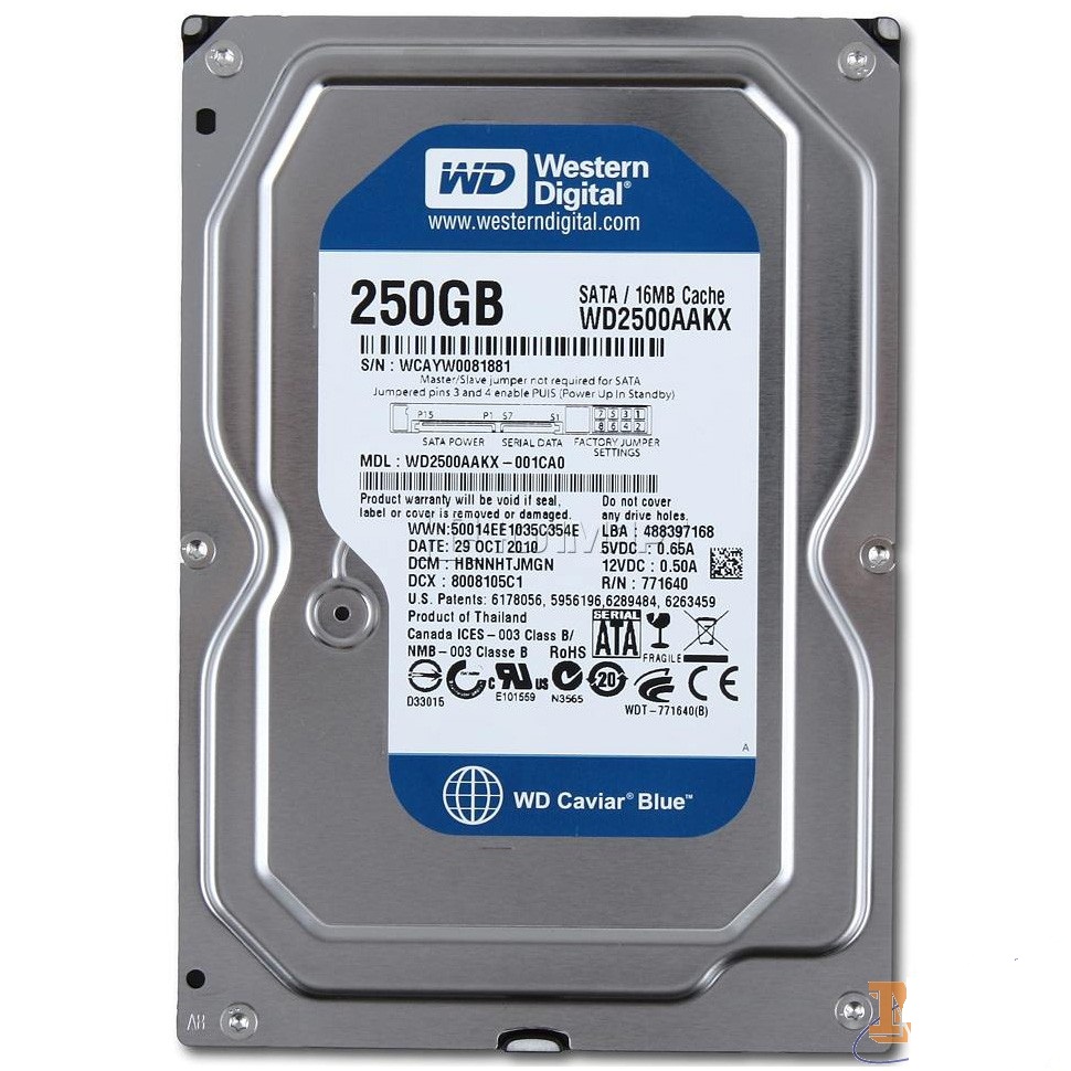 Ổ cứng 250GB HDD WD Sata III dùng cho máy tính bàn - Bảo hành 1 tháng