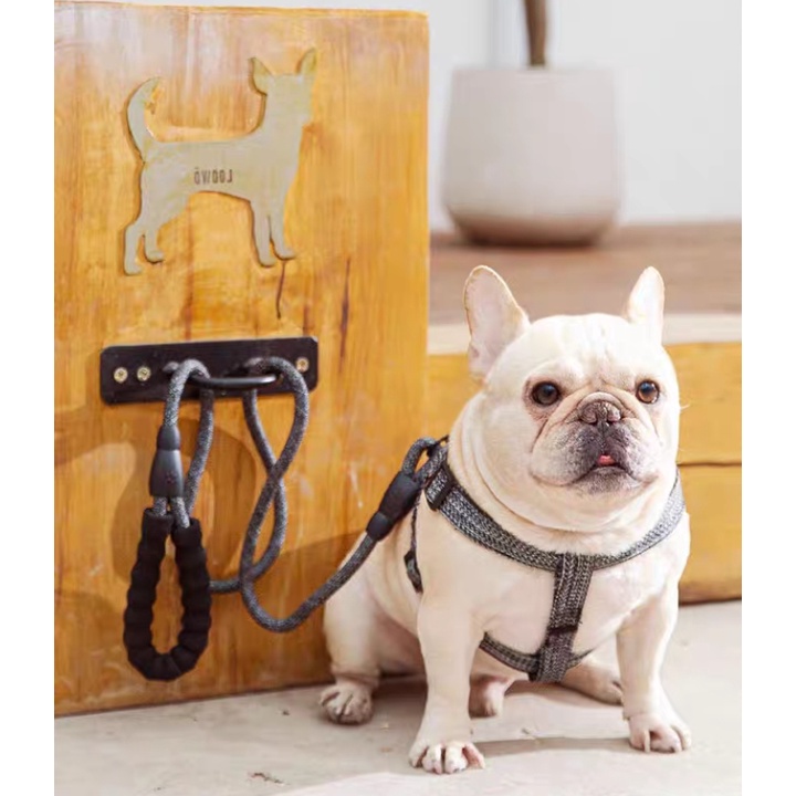 (HCM - Mới) Dây dắt chó kèm yếm siêu bền, thiết kế đẹp khỏi chê - Dây xích siêu chắc chắn cho chó - Hàng y hình