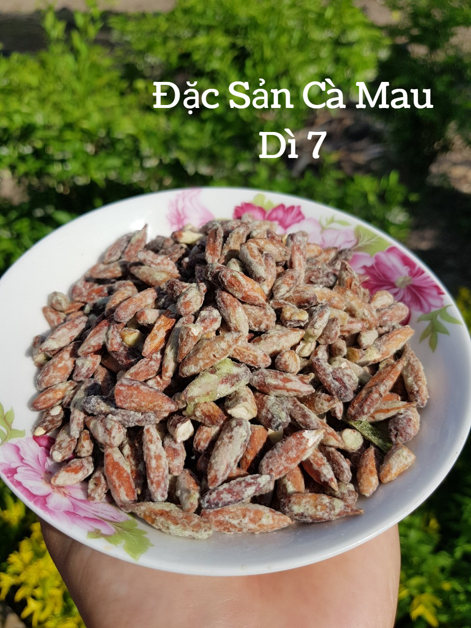 [500Gram] Hạt bàng đặc sản Côn Đảo (vị rang dứa)