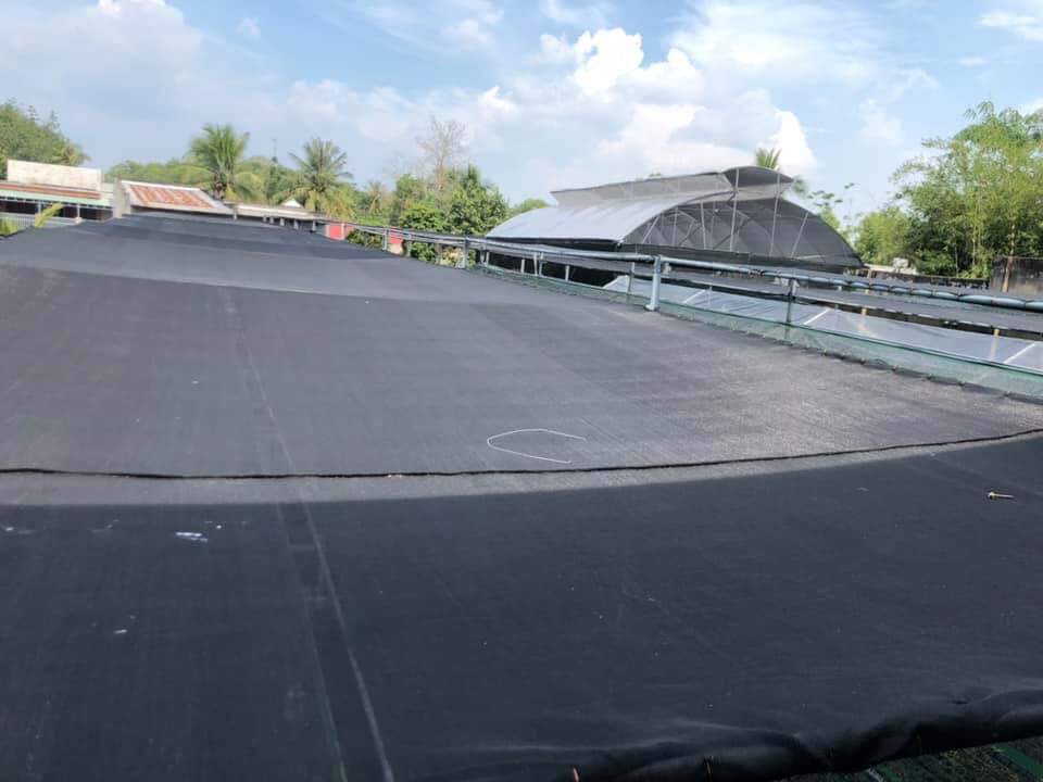 Lưới che nắng dệt kim 3m x 4m