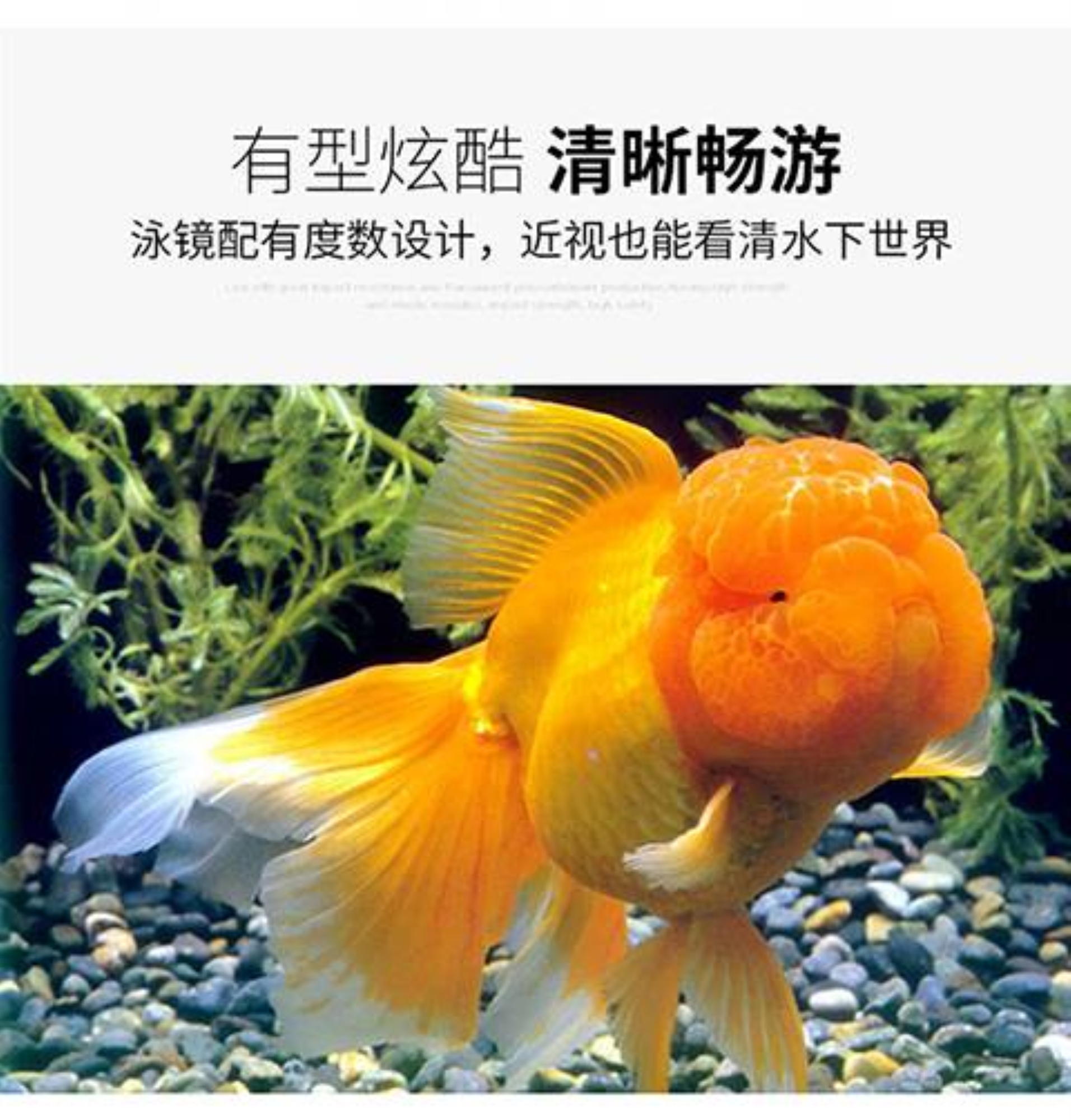 https://vn-live-01.slatic.net/p/764ae830635a1e3a1441818db03d36cb.jpg