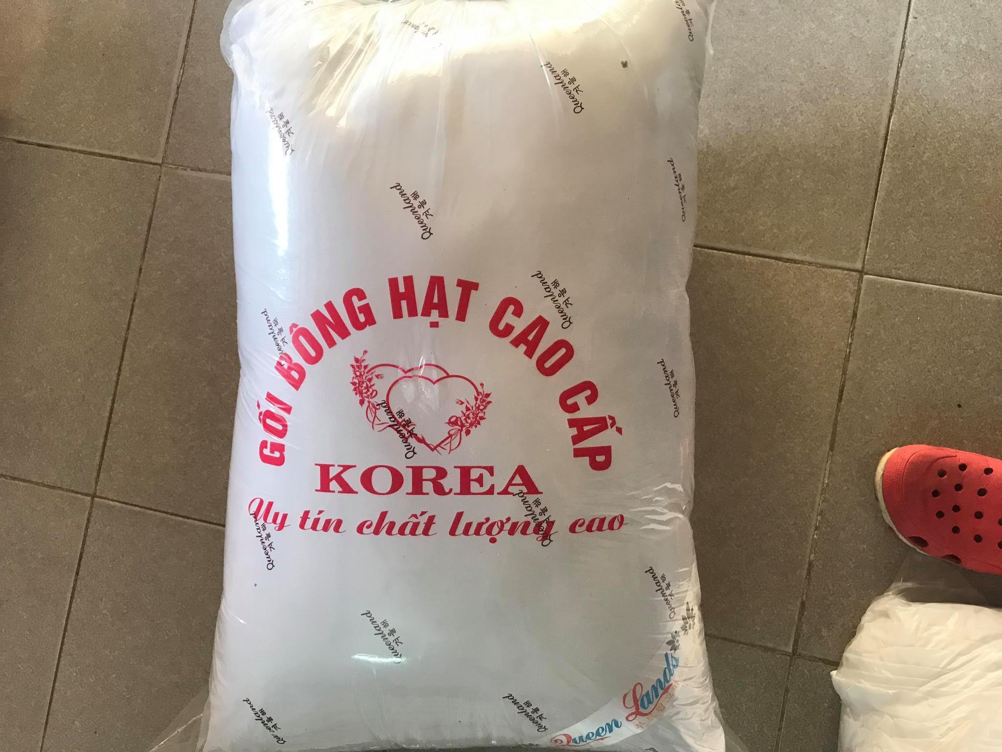 Cặp 02 chiếc ruột gối nằm ngủ 50 x 70 cm bông gòn hạt nhân tạo cao cấp