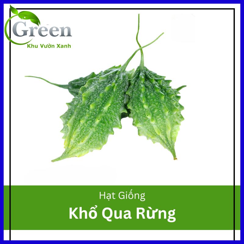 Hạt giống khổ qua rừng