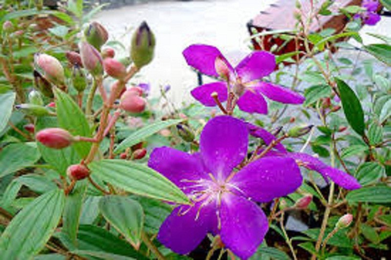 sNgajikmoalbPpINkd2Y_simg_d0daf0_800x1200_max.jpg