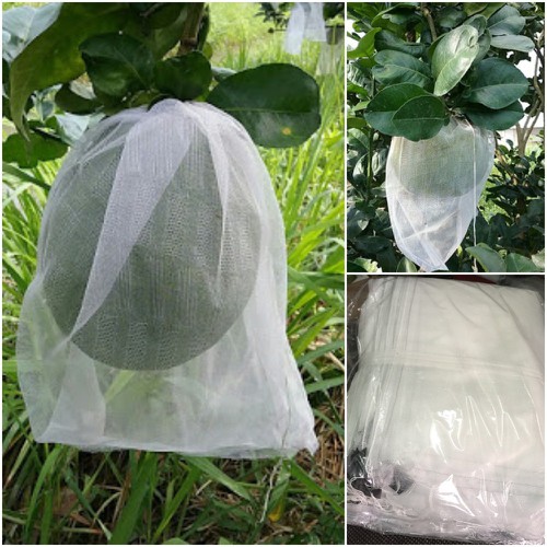 Bao bọc bưởi lưới mùng 30x35 - 100 túi