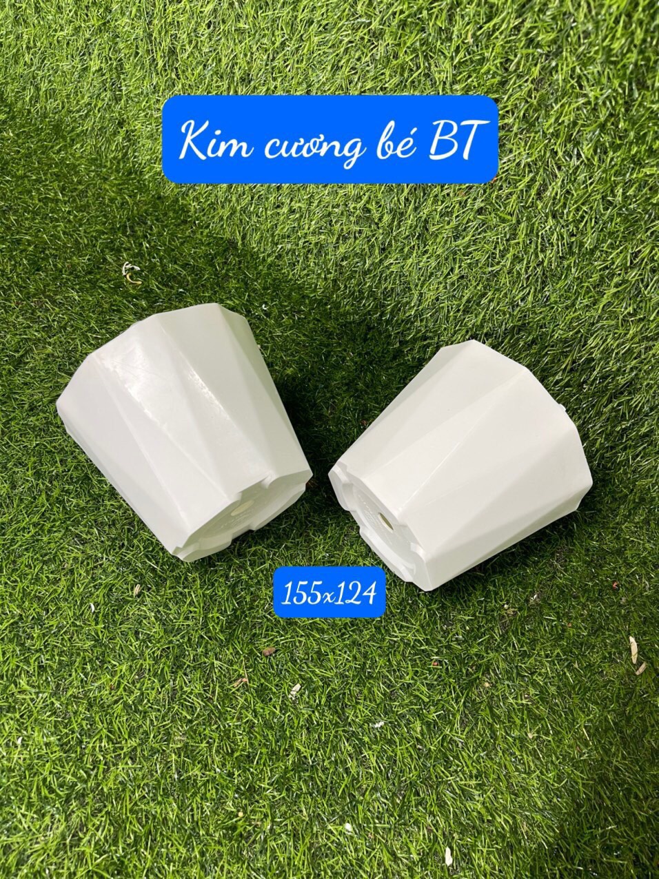 10 chậu nhựa kim cương trắng 15x21 - chậu nhựa trồng cây hoa