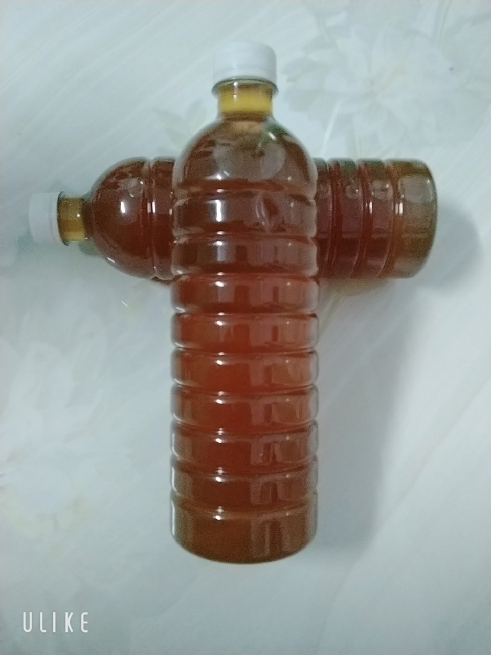 1000ml mật ong hoa cà phê đaklak