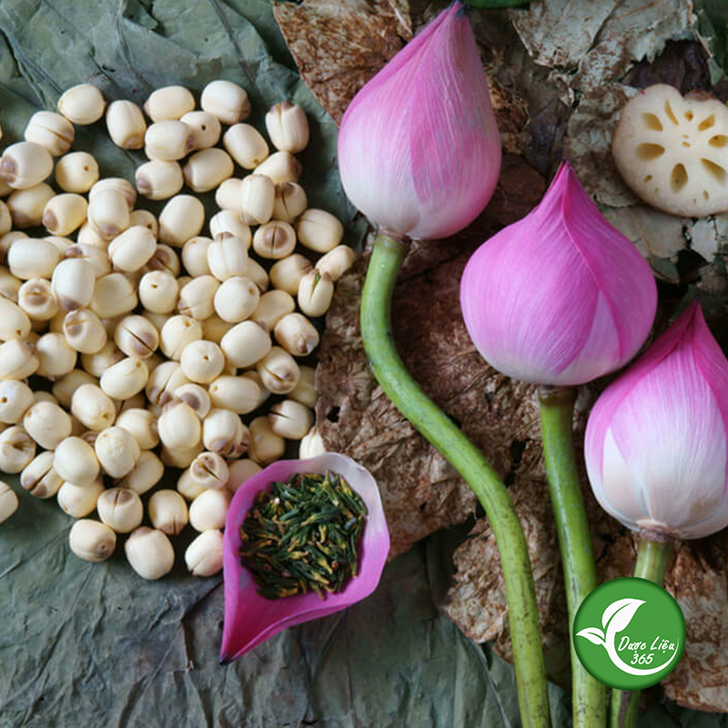 Hạt sen khô loại thượng hạng (500gam) - DL108