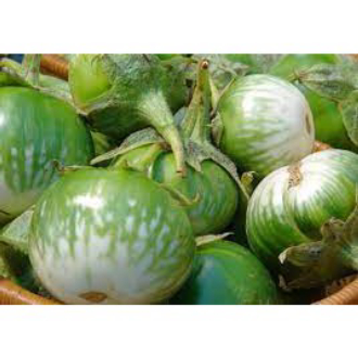 Hạt giống cà dĩa