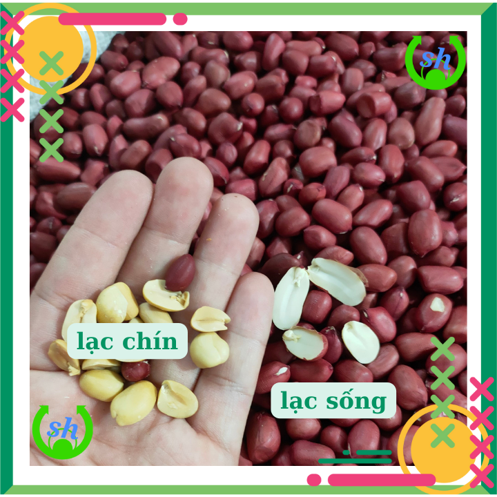 Lạc đỏ rang sẵn - 200gr- lạc bóc tay- đậu phộng rang