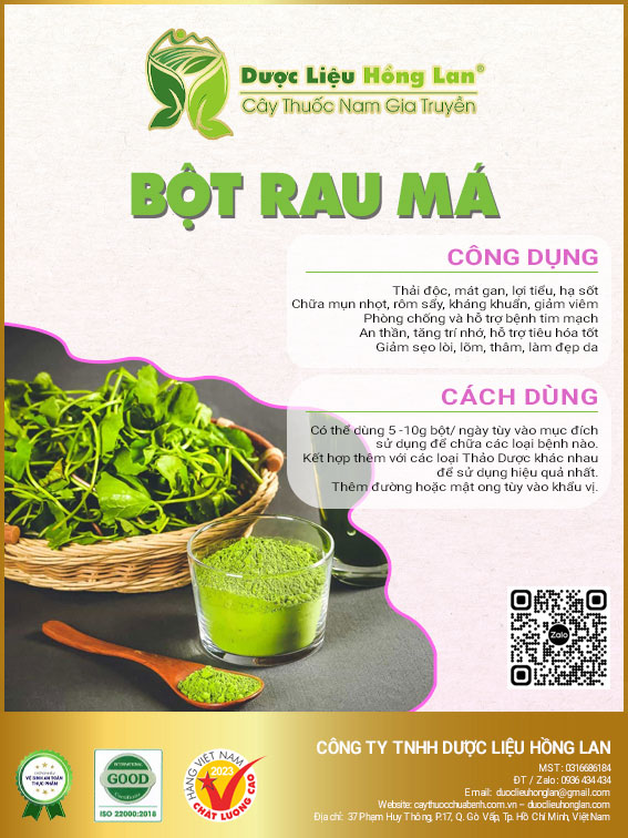 ✅ 500g bột rau má nguyên chất