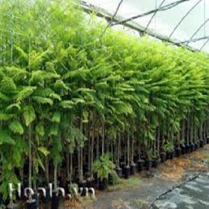 T9RKykkU82mKn2u9FYp3_simg_d0daf0_800x1200_max.jpg