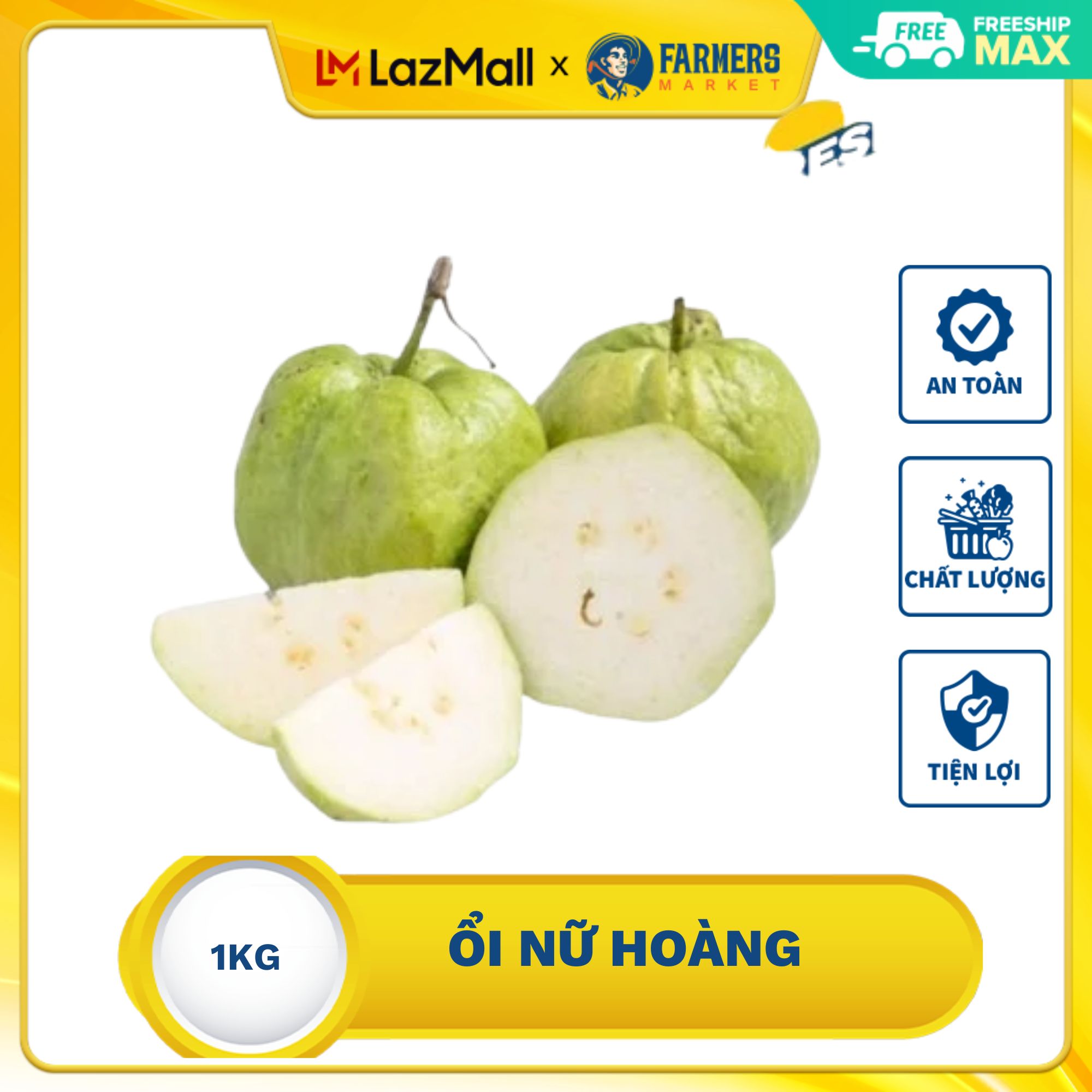 [Chỉ giao nội thành HCM] Ổi Nữ hoàng Tiền Giang (1KG) - Có thịt quả khá dày và ruột rất nhỏ có một ít hạt. Ổi có mùi thơm mát, giòn và ngọt đặc trưng.