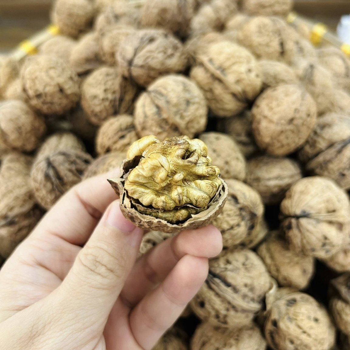 Óc chó giấy, óc nguyên vỏ chó nếp vàng Hà Giang loại 1 (500g, 1kg) . Óc chó sống sấy khô chưa tách vỏ làm sữa hạt