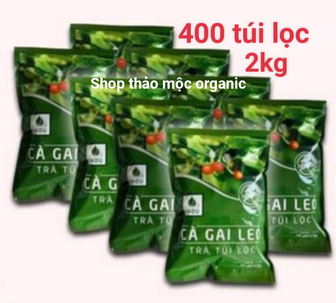 2KG TRÀ CÀ GAI LEO TÚI LỌC SADU MÁT GAN-THẢI ĐỘC GAN-ỨC CHẾ VIRUT