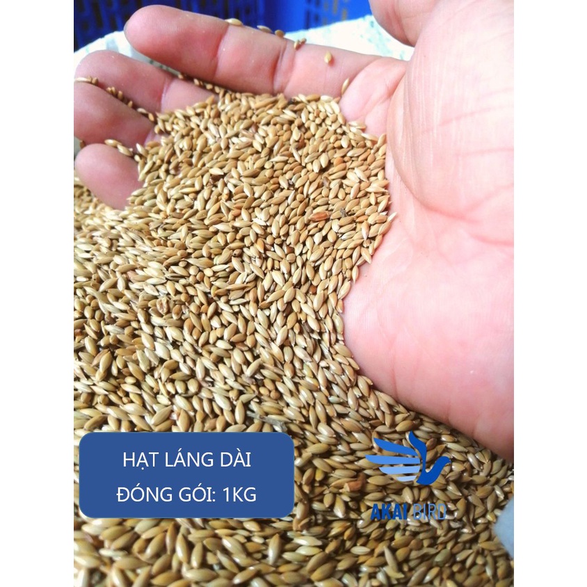 Hạt láng dài cho vẹt, hamster, sóc, gà, chim....