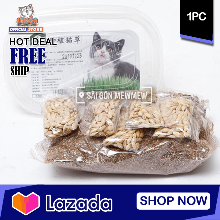 Bộ kit trồng cỏ mèo