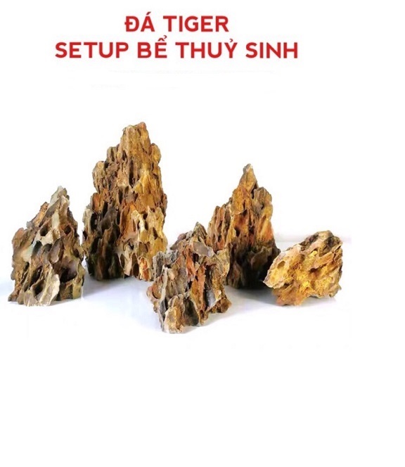1 kg Đá Tiger - Set up hồ thủy sinh