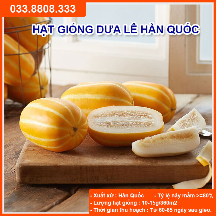 Hạt giống dưa lê hàn quốc - giống chuẩn - gói 100 hạt