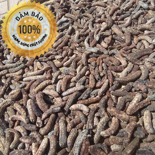 [HCM][SỐC] Chuối hột rừng LOẠI 1