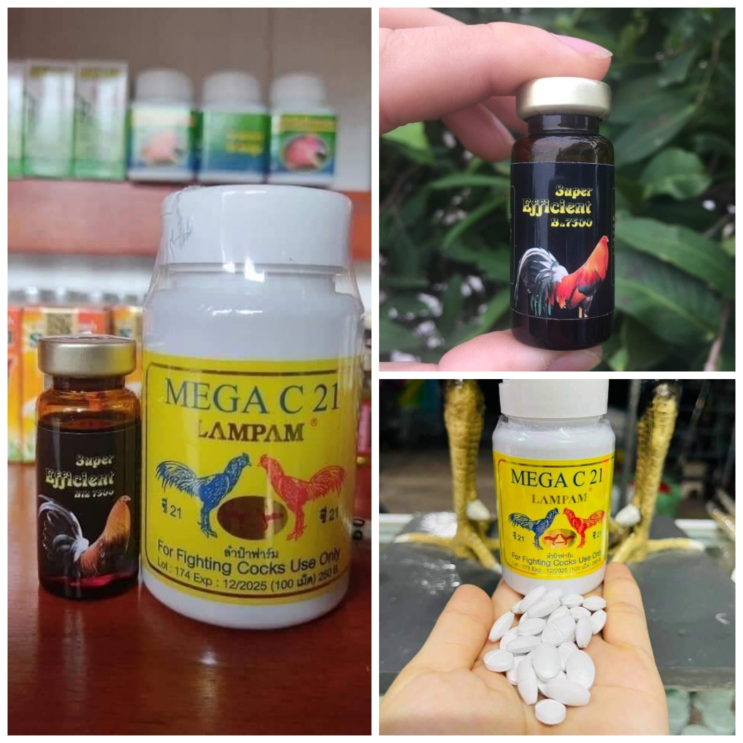 MEGA C21 + B12 7500  Bộ thu.ốc nuôi -- bo khủng -- hừng gà -- mau cứng gà -- mau tới đá