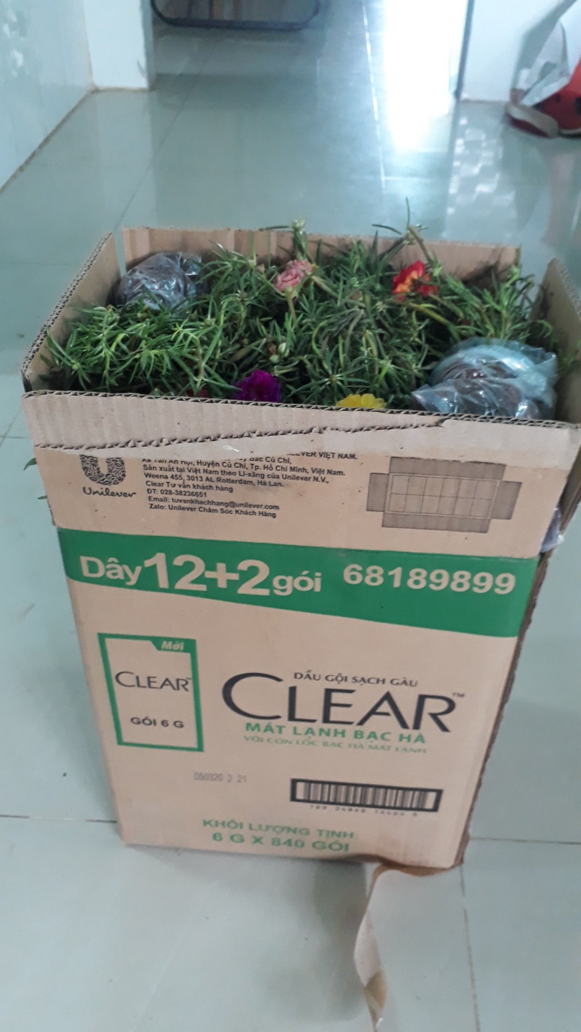 hoa 10 gio gia re. Giá rẽ chỉ #24.9k, 1 bó 50 cây. Có 15 màu riêng để chọn: 1.Đỏ/2.Vàng/3.Trắng/4.Tím/5.Nghệ/ 6.Hồng/7.Da/8.Cam/9.HồngViền/10.TímViền/ 11.CamĐất/12.TrắngViền(đơn)/13.TímViền(đơn)/14.VàngChanh/15.TrắngViền