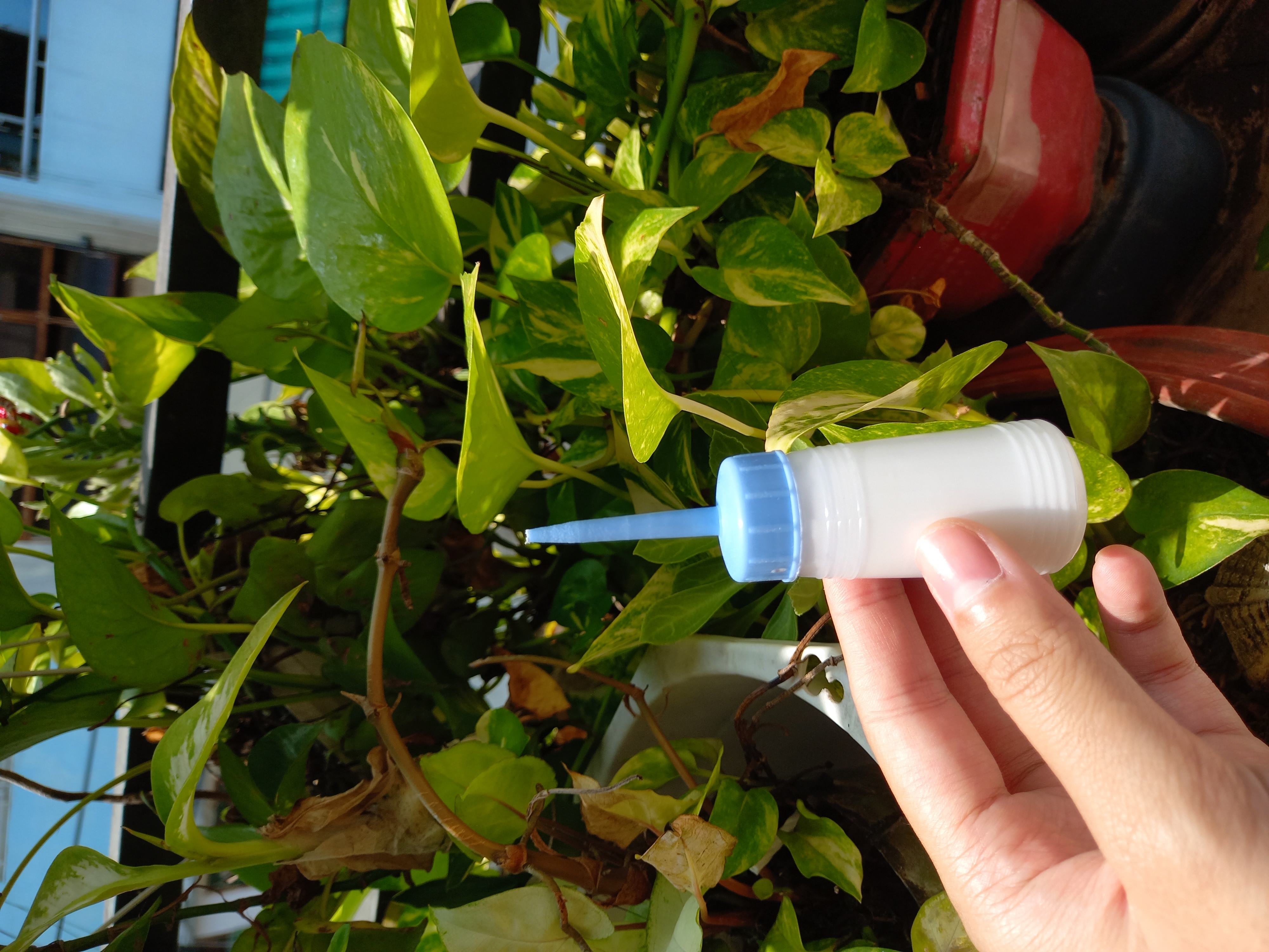 Keo sữa 30ml/ Keo ATM Đa dụng- Dùng để làm slime, handmade, dán gỗ, dán giấy, dán dây thừng,...