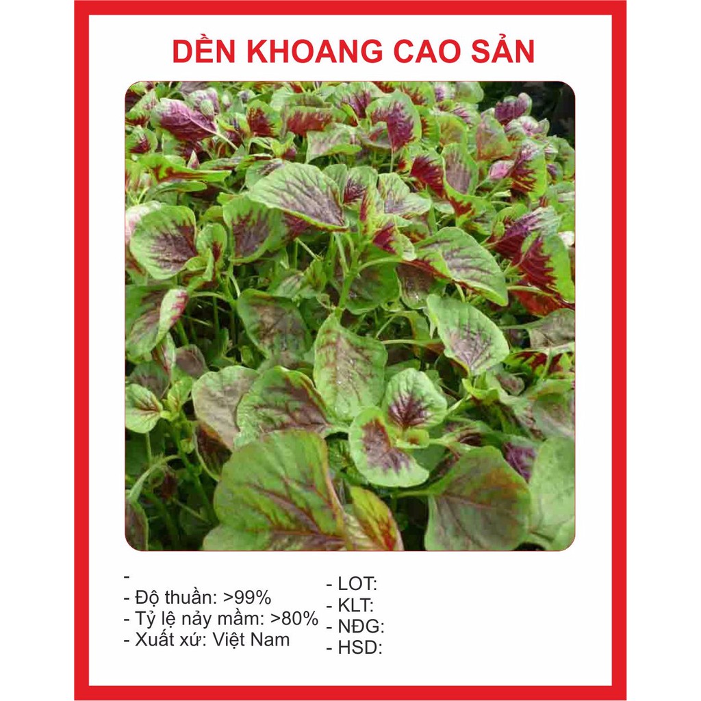 Hạt giống rau Dền Khoang 20gram ~ 3000Hạt