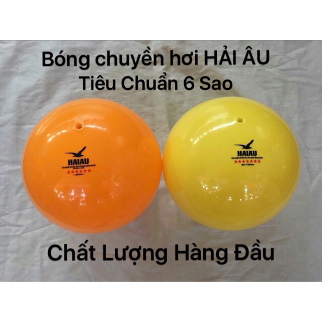 Bóng Chuyền hơi Hải Âu 6sao(200g-250g)